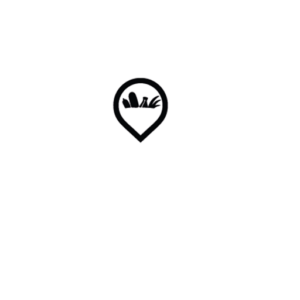darkstores_logo